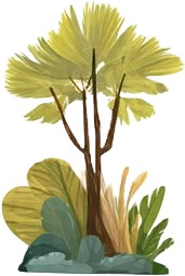 a small tree with leaves and a white background.jpg